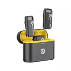 Stechpalme Lerche M1