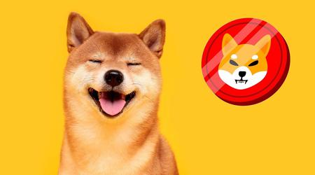 Die Schwester von Mark Zuckerberg drängt darauf, die Kryptowährung Shiba Inu zu kaufen, deren Preis seit der Einführung um 90.000.000% gestiegen ist