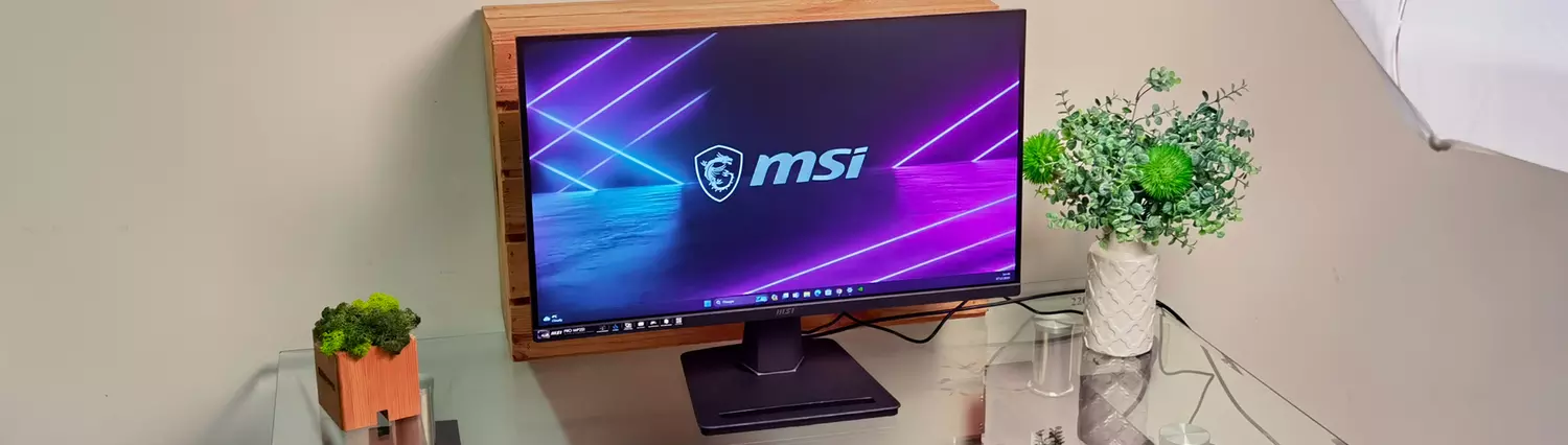 MSI PRO MP251 Monitor Test
