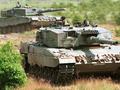 post_big/Leopard-2.jpg