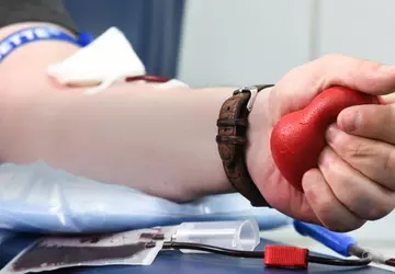 Wissenschaftler haben einen Weg gefunden, universelles ...