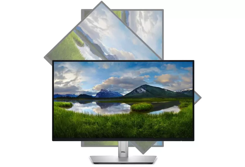 Dell P2422H 24 Zoll Business-Monitor
