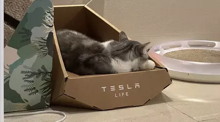 Es sieht so aus, als hätte Tesla das Design einer Katzenliege im "Cybertruck-Stil" von einer taiwanesischen Firma gestohlen