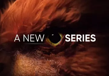 Realme hat die Einführung einer neuen ...