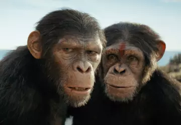 Kingdom of the Planet of the ...