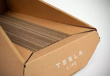 Unerwartet: Tesla hat ein Katzenbett im ...