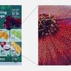 Schematische Darstellung des Colour Imaging Algorithmus