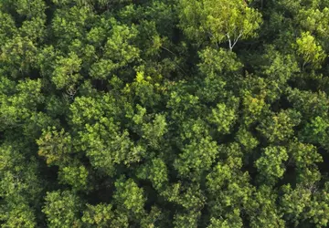 Solarstationen und recycelter Kunststoff: Wie Samsung ...