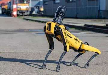 Roboterhund Spot geht durch die Straßen ...