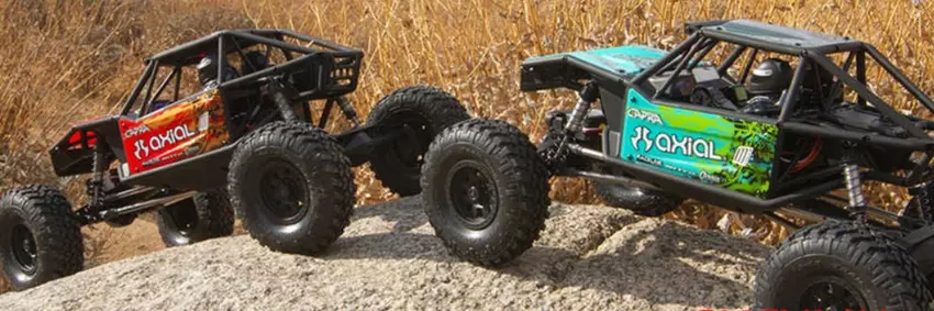 Bester Axial Rock Crawler - Test