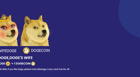 Dogecoin-Klon über Nacht um fast 1000% gestiegen