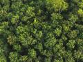 post_big/Samsung-ESG-Sustainability-Repor.jpg