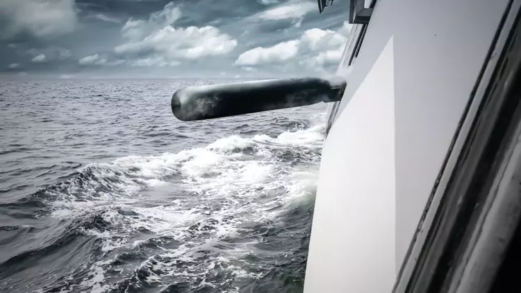 Schwedische Armee bestellt neue leichte Torpedos ...