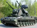 post_big/gepard_wiki.jpg