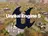 Age of Empires 5 könnte auf die Unreal Engine umsteigen — das Unternehmen sucht Spezialisten für die Arbeit mit dieser Engine