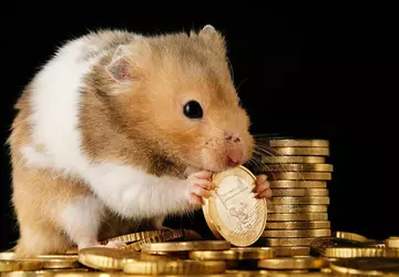 Deutscher trainiert Hamster für den Handel ...