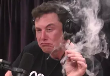 Elon Musk erlaubt Marihuana-Werbung auf Twitter