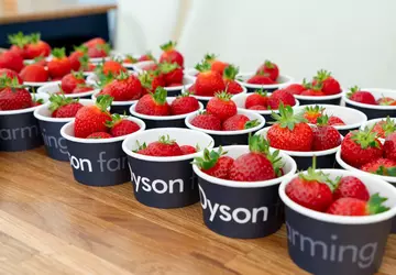 Herausgeberbemerkung: Erdbeeren, Staubsauger und britischer Surf ...