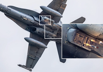 Einem Fotografen gelang es, ein Foto ...