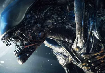 "Der Status der Crew ist zerstört": ...