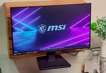 MSI PRO MP251 Monitor Test