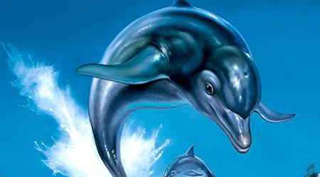 Ecco the Dolphin ist zurück: Remaster des Klassikers und ein neues Spiel des Originalteams sind bereits in Entwicklung