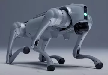 Der schwedische Roboter "Hund" Luna hat ...