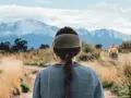 post_big/lion-vr_1.jpg