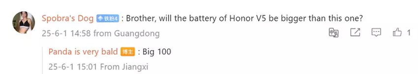 Honor Magic V5 image