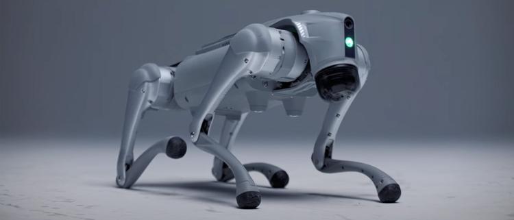 Der schwedische Roboter "Hund" Luna hat ...