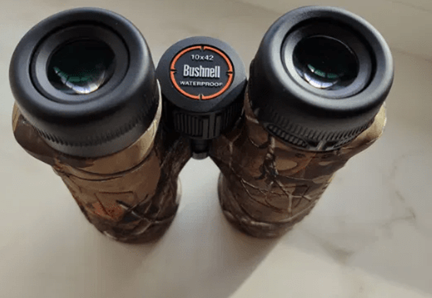 Bushnell Trophy 10x42 Reisefernglas