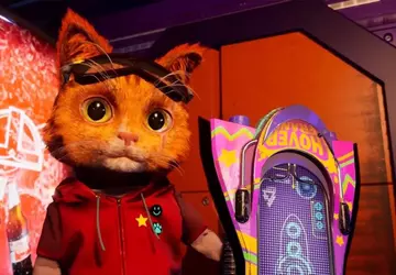 Noch nie waren Kätzchen so gefährlich: ...