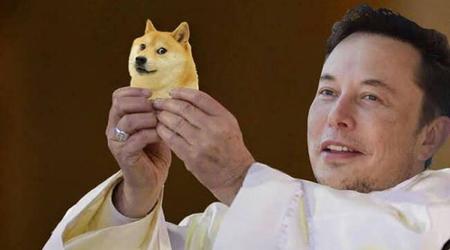 Dogecoin ist besser als Bitcoin - Elon Musk bekräftigt erneut einen Comic-Token