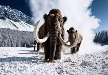 OpenAI bereitet die Einführung von Sora ...