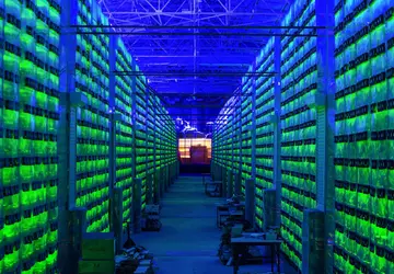 Spanische Polizisten suchten nach Marihuana und ...