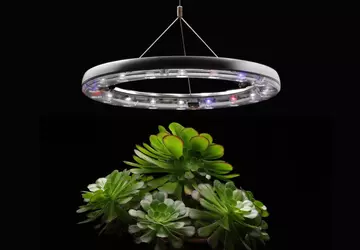 Dieses Licht- und Bewässerungssystem für den ...