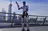 Der humanoide Roboter AgiBot ...