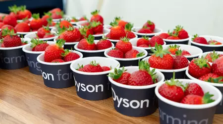 Herausgeberbemerkung: Erdbeeren, Staubsauger und britischer Surf - wie Dyson einen Bauernhof in ein Labor der Zukunft verwandelte