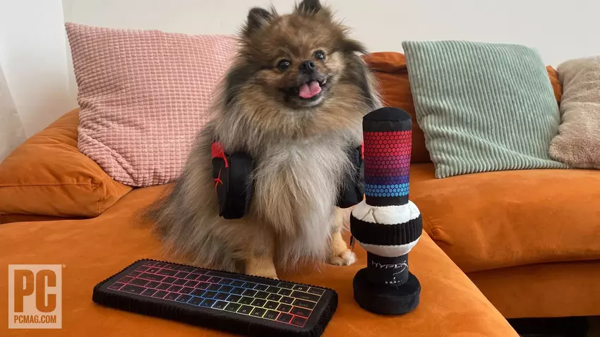 HyperX stellt Gaming-Zubehör vor... für Haustiere