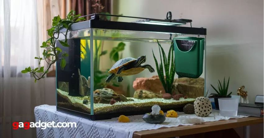 bester Filter für Schildkrötenaquarium 2025