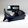 Aston Martin AMR-C01-R Simulator Miniatur.