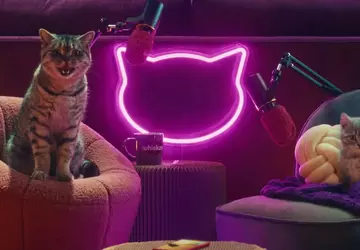 Whiskas hat den Purrcast-Podcast gestartet: Katzen ...