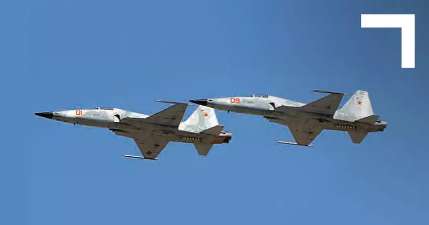 Northrop F-5 Tiger-Kampfflugzeug in der Türkei nach Kollision mit einem Vogel abgestürzt