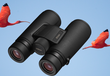 Beste Kompakte Ferngläser für Vogelbeobachtung