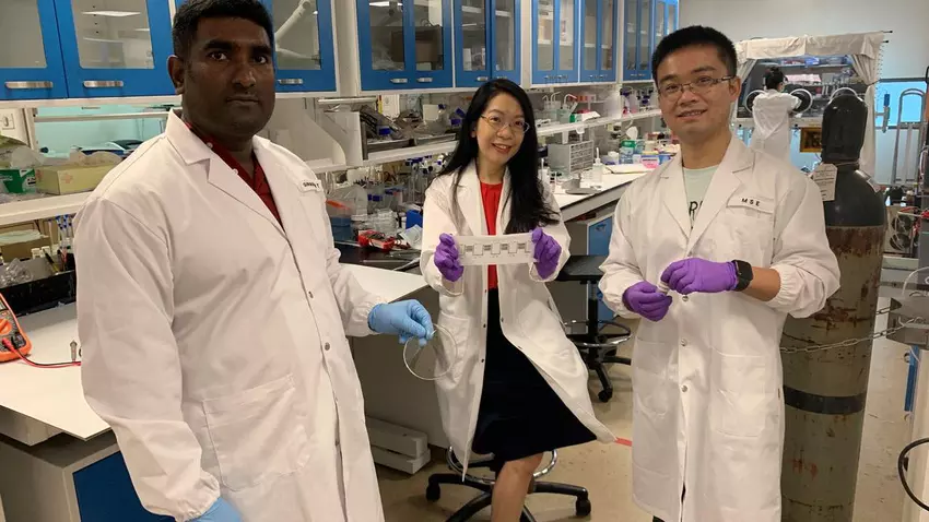 Eine flexible Batterie, die durch Schweiß aufgeladen wird, wird vorgestellt