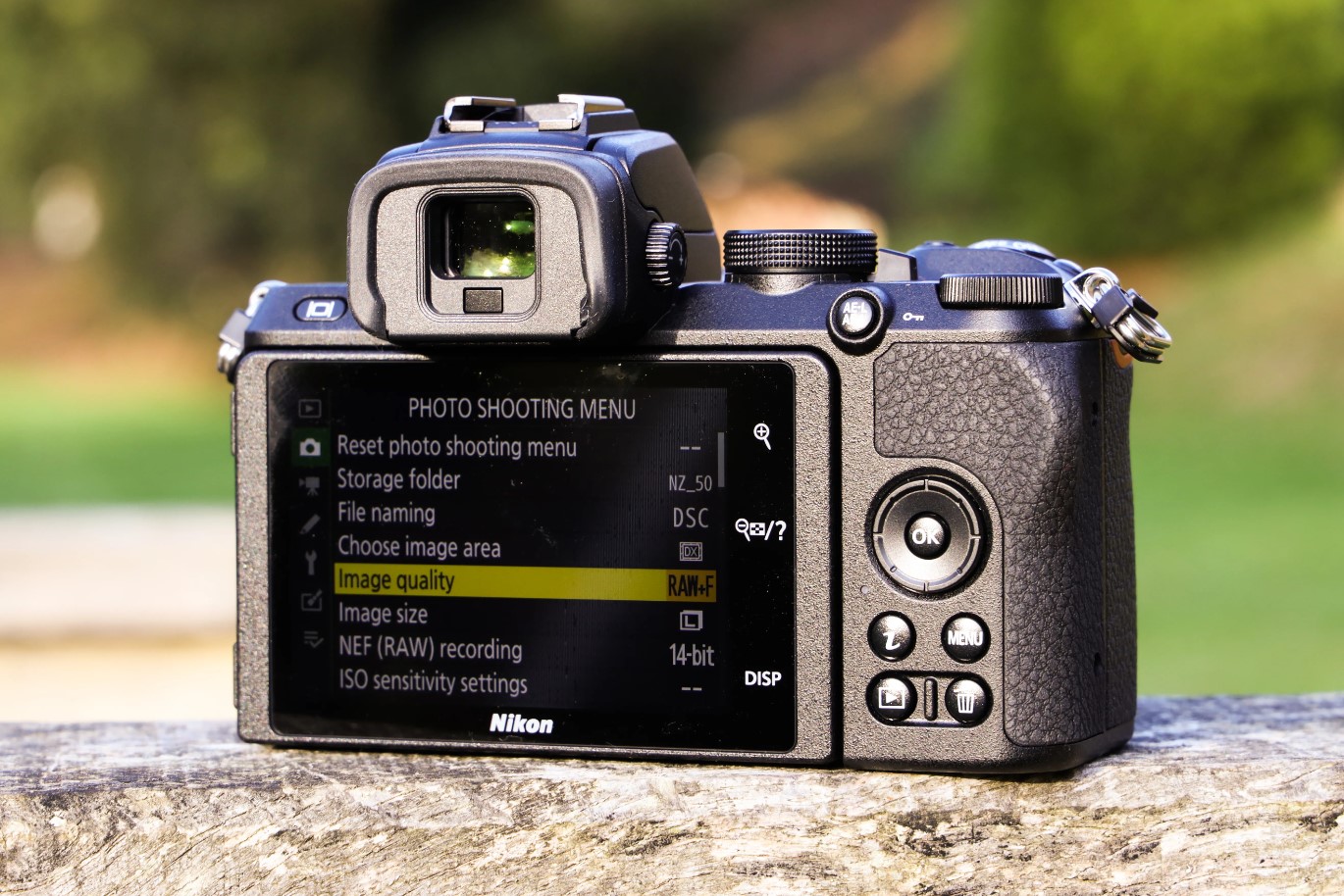 Nikon Z50 billige professionelle Kamera