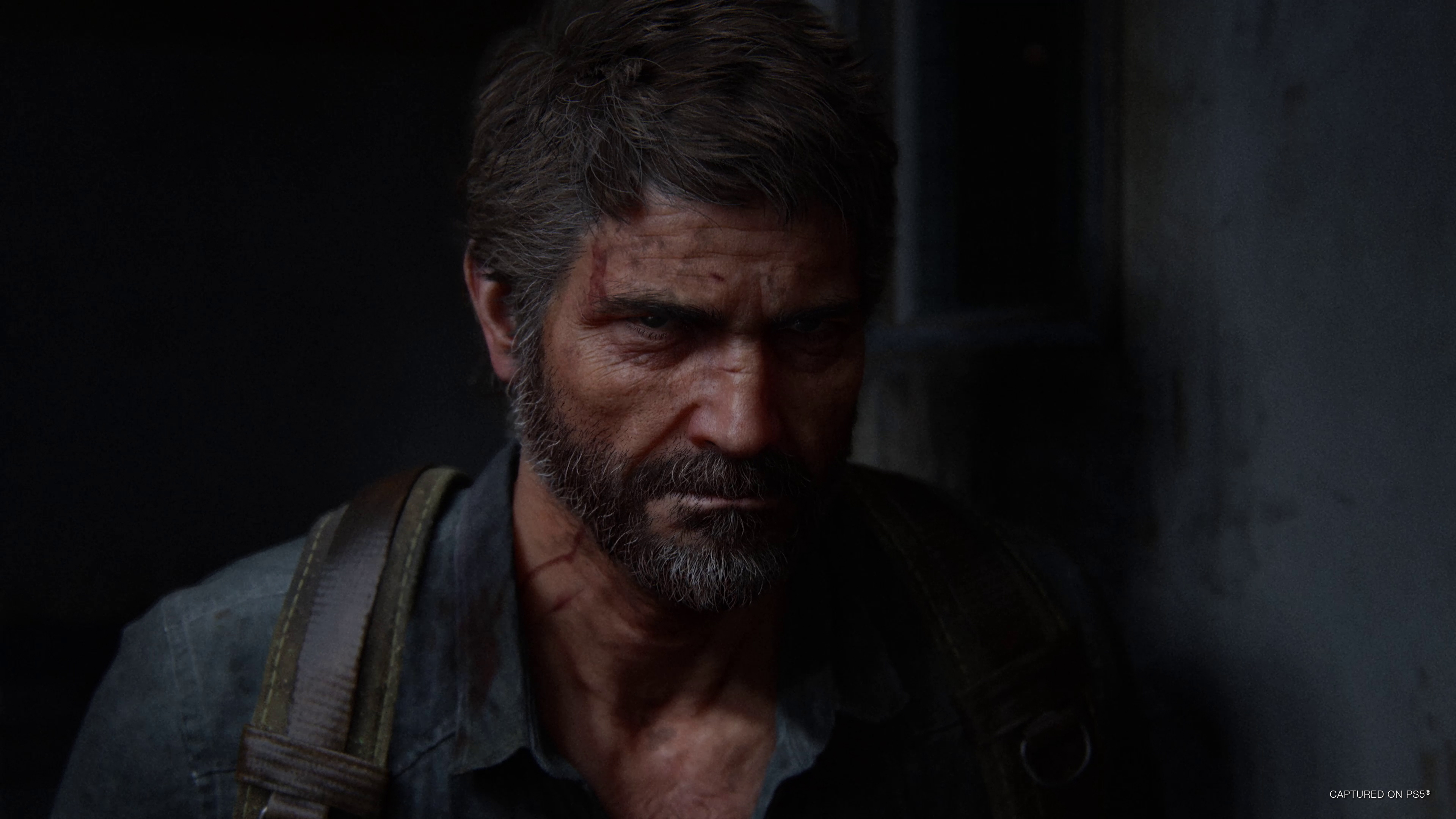 Exklusiver Blick auf The Last of Us 2: der neueste Screenshot ist hier Neuer Screenshot von The Last of Us 2: das Geheimnis wird gelüftet