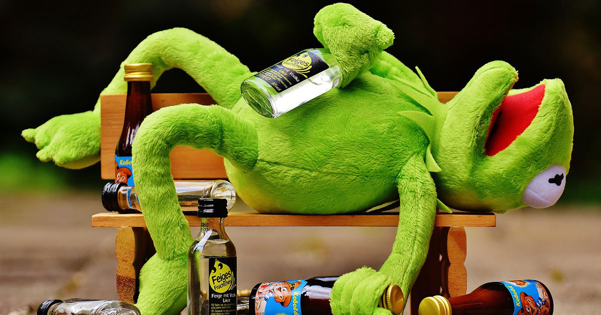Kermit's unbewusste Rekreation: Was war der Grund für seine nächtlichen Abenteuer? Kermit auf der Bank: Wie ein Frosch sich von einer stürmischen Nacht erholt