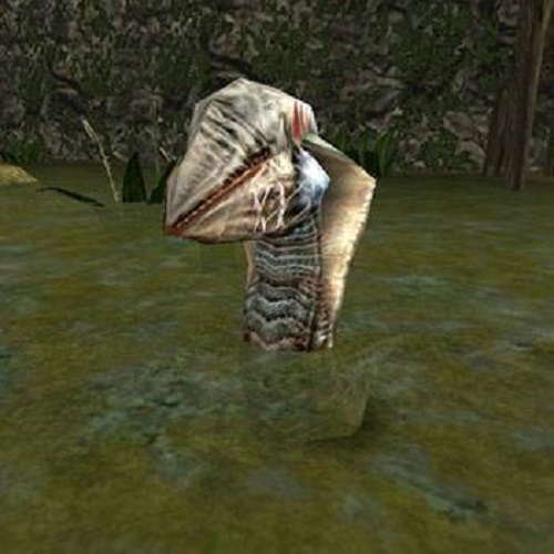 Neues Aussehen des blutrünstigen Raubtiers: Die Entwickler des Gothic-Remakes zeigten das aktualisierte Erscheinungsbild von Swamp Shark-3 Neues Aussehen des blutrünstigen Raubtiers: Die Entwickler des Gothic-Remakes zeigten das aktualisierte Erscheinungsbild von Swamp Shark-3