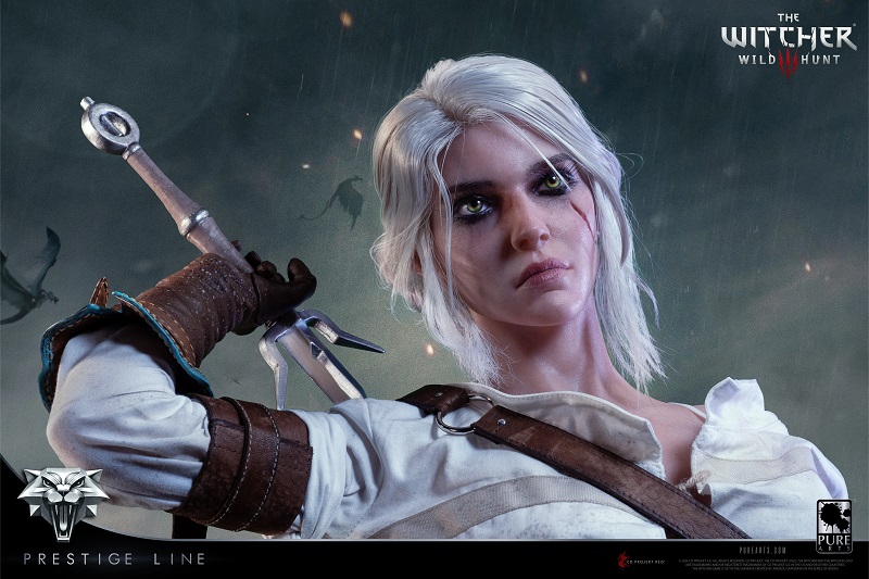 Herald im Stil von The Witcher